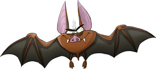 Vampire bat