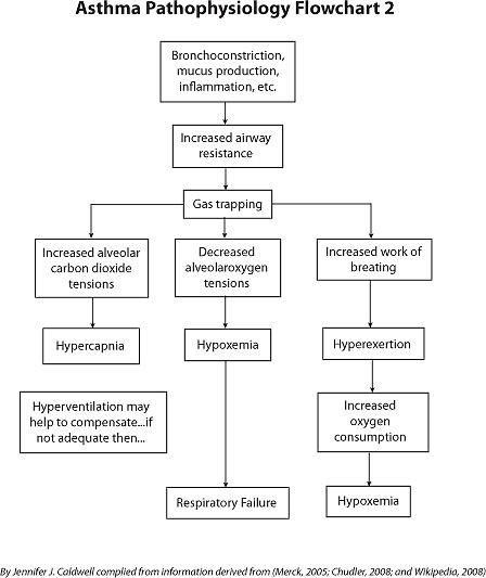 Asthma Pathophysiology