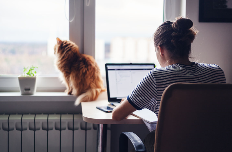 A photo of a woman sitting at her desk with a computer and a cat in the window