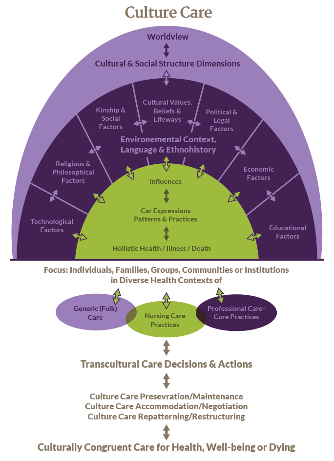 Cultural Competency Current Practice Course CEUfast Nursing