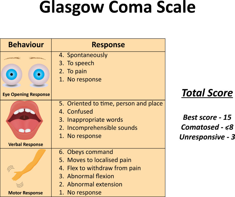 glasgow coma scale