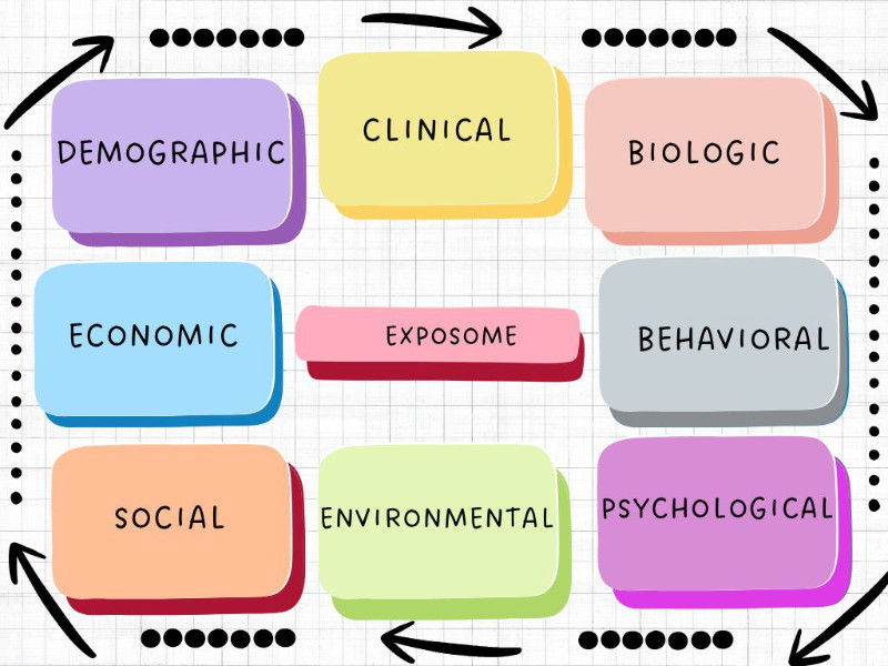 flow chart of a precision health model