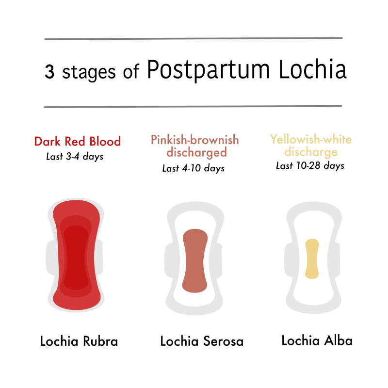 graphic showing three stages of pospartum lochia