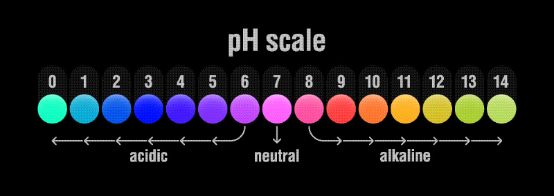 graphic showing ph scale