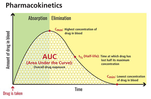 Pharmacokinetics of the most commonly used antihypertensive drugs