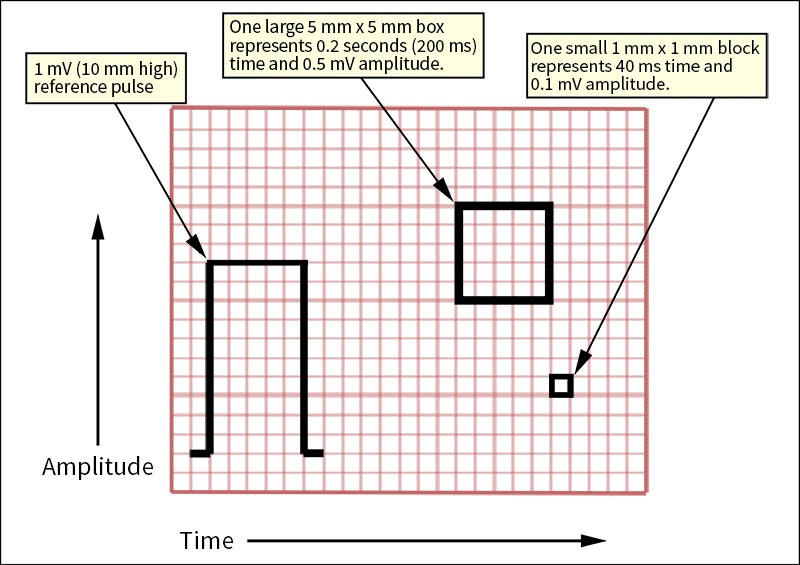 graphic of paper standards