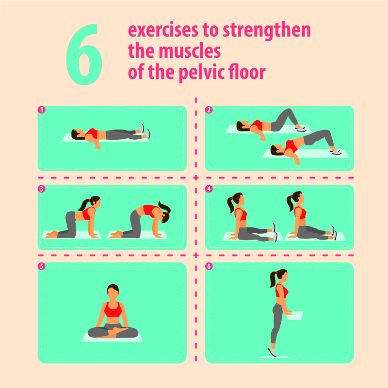 graphic showing exercises to strengthen the muscles of the pelvic floor