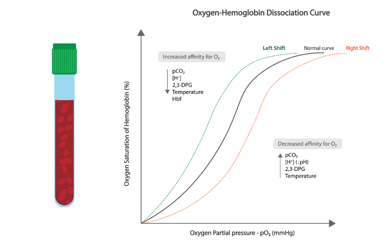 graphic showing oxygen hemoglobin dissaciation curve