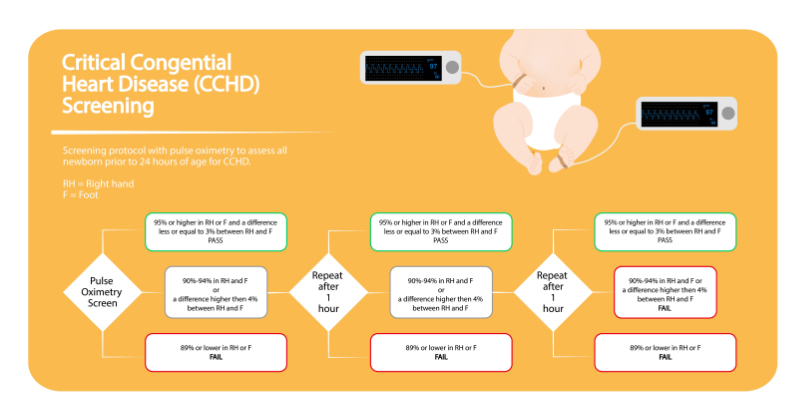 graphic showing the flow of critical congenital heart disease cchd screening