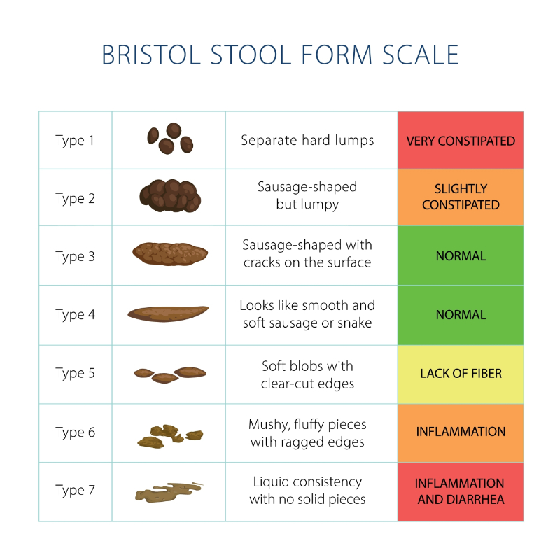 bristol stool chart
