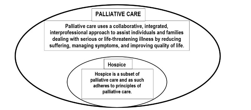 diagram showing relationship between palliative and hospice care