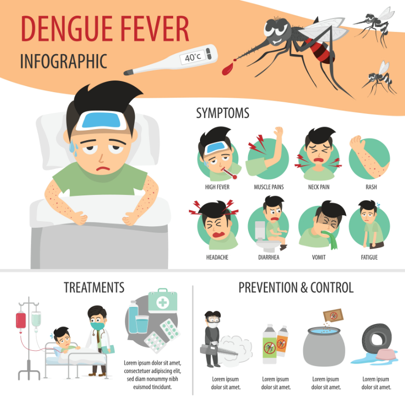 infographic of dengue fever